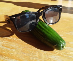 You'll be as cool as a cucumber wearing sunglasses